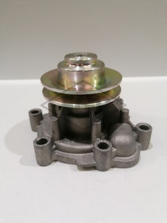 Bomba de agua baja